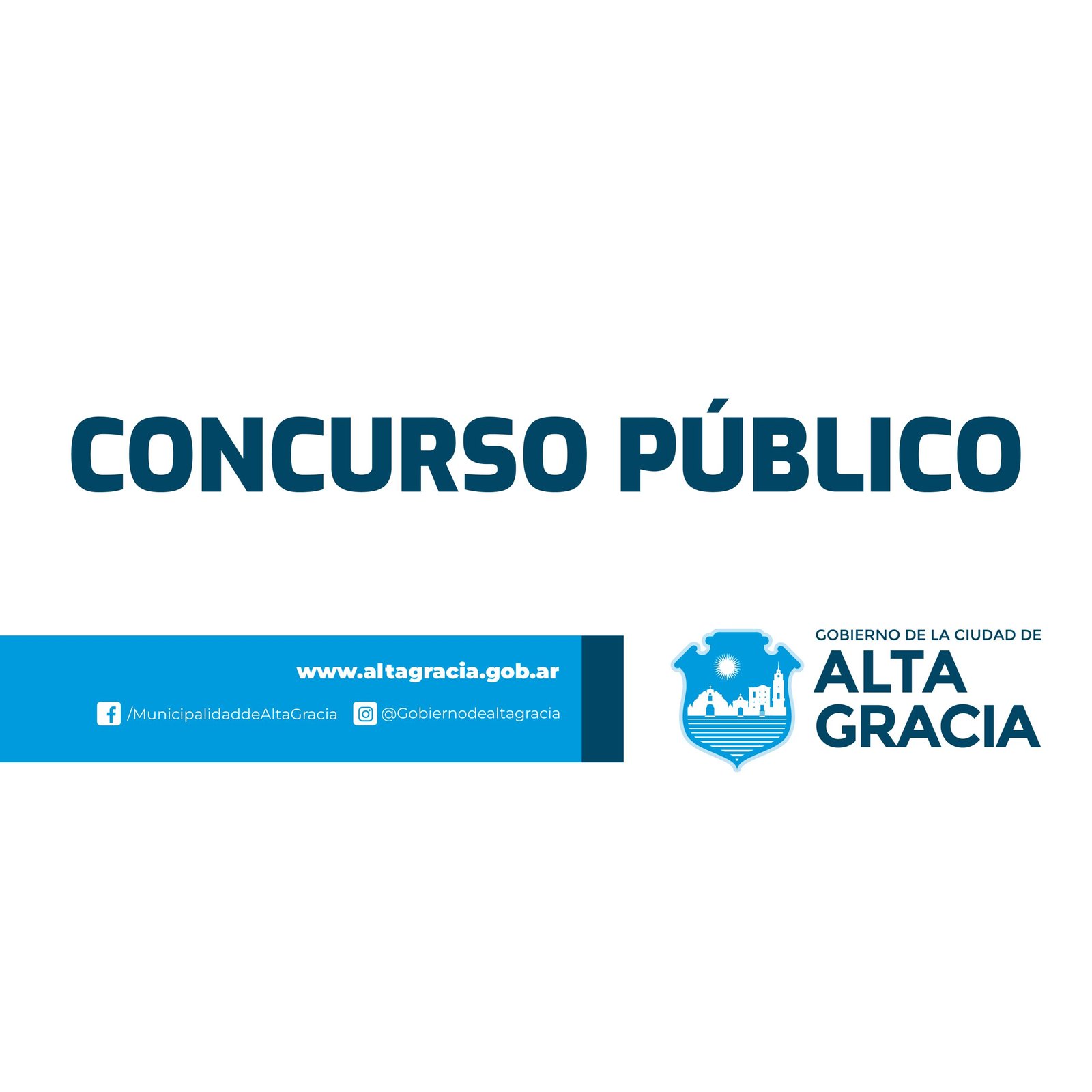 CONCURSO PUBLICO WEB_Mesa de trabajo 1 copia
